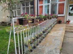 viber_image_2025-05-08_13-33-45-997.jpg